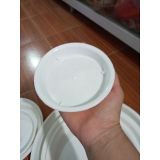 Đĩa nhựa lót chậu trồng cây phi 12cm