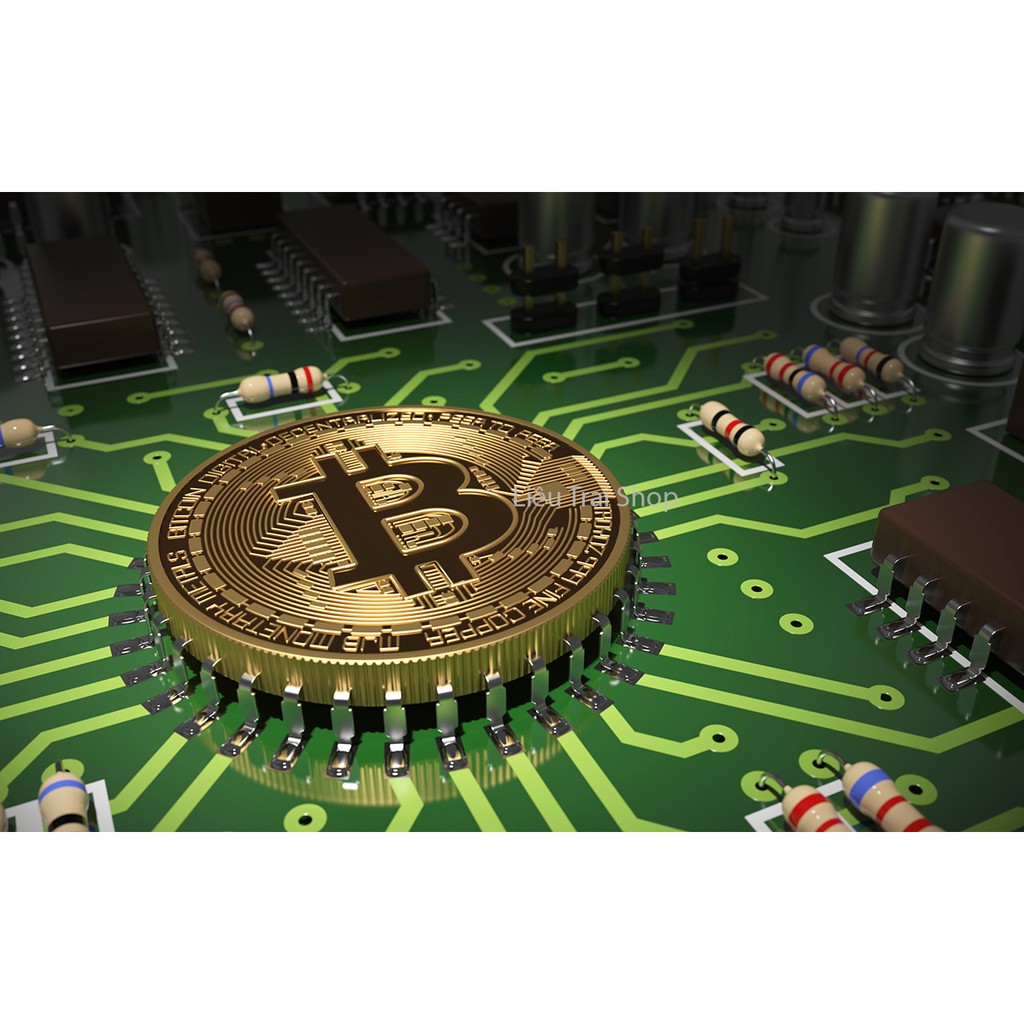 Mô hình đồng Bitcoin Vật lý