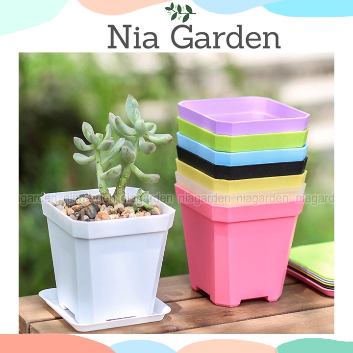 Chậu nhựa trồng cây sen đá xương rồng cây để bàn mini vuông màu pastel Nia Garden N8