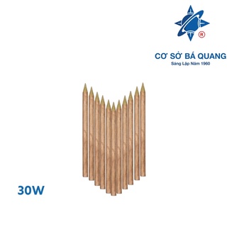 10 đầu mỏ hàn 30w