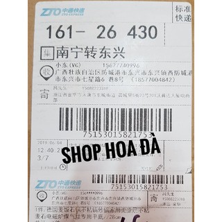 THẬP TOÀN ĐẠI BỔ HOÀN