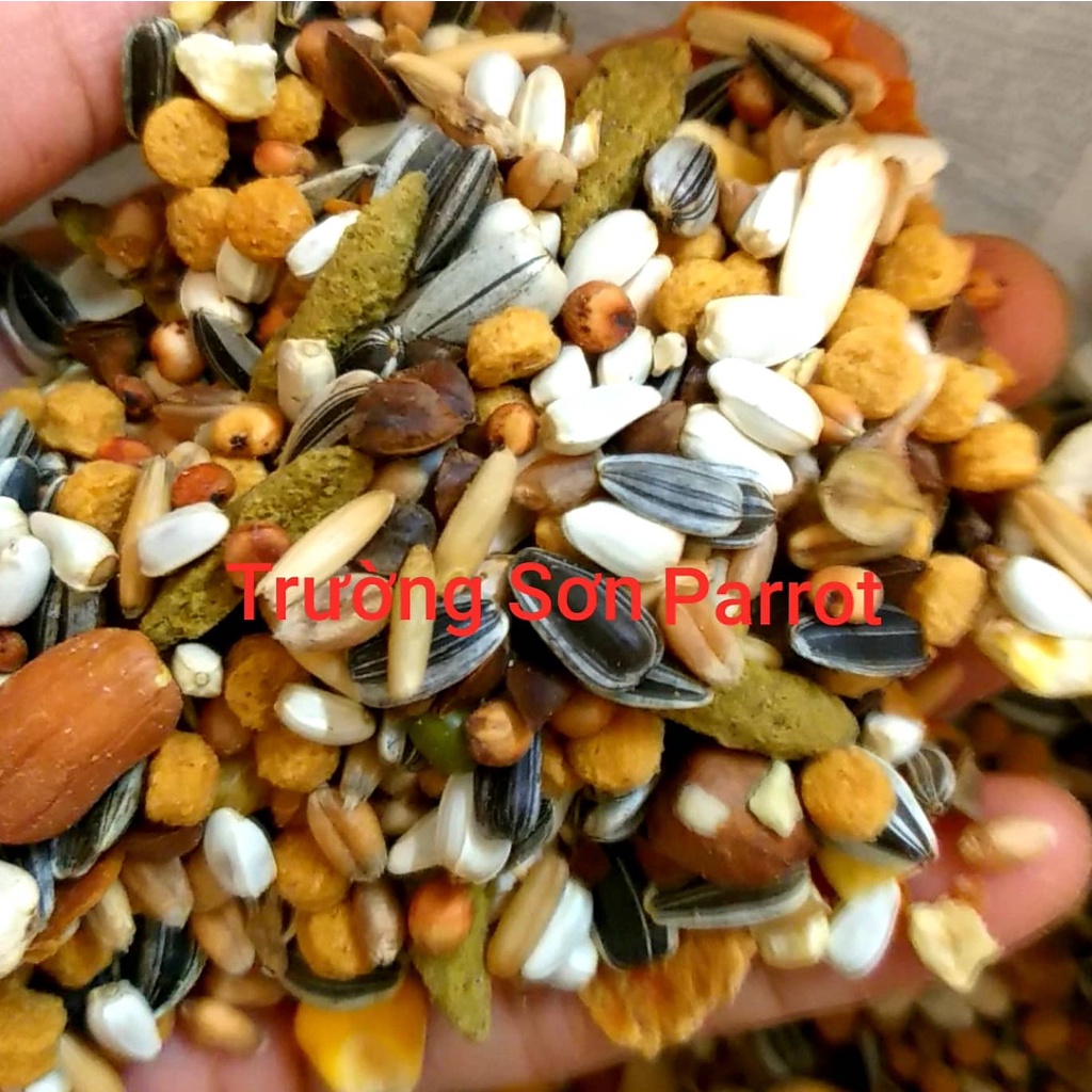 Hạt trộn cao cấp WITTE MOLEN COUNTRY dành cho vẹt xám, sun, xích, vẹt size trung và size lớn của Hà Lan