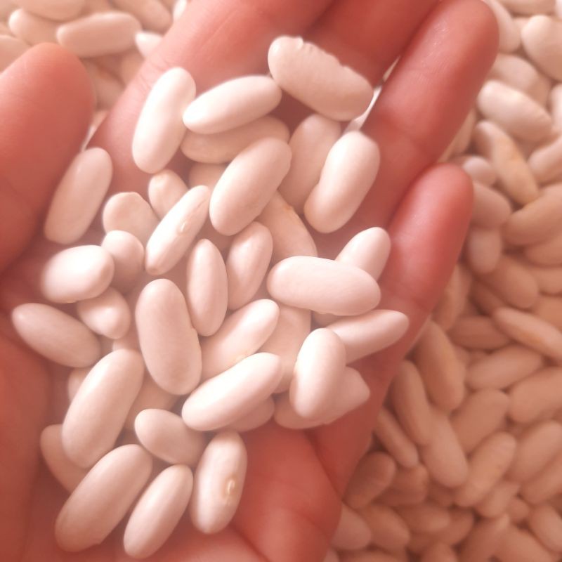 |1KG| Đậu trắng khô Đà Lạt