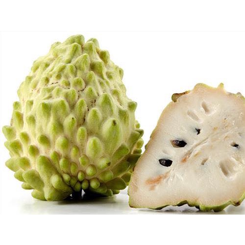 Cây Mãng Cầu Na Đài Loan (Na dứa Đài Loan)