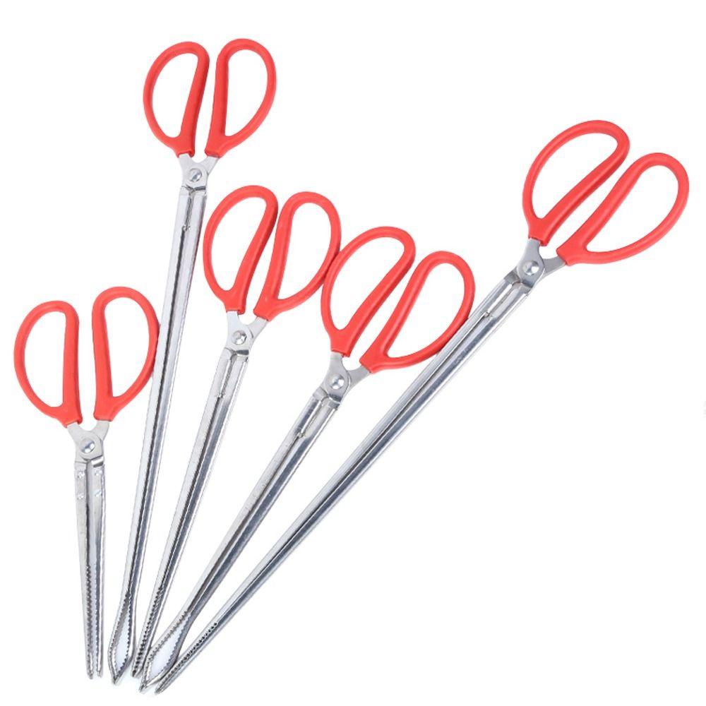 1 Dụng Cụ Bắt Cua Biển Đa Năng Có Tay Cầm Màu Đỏ