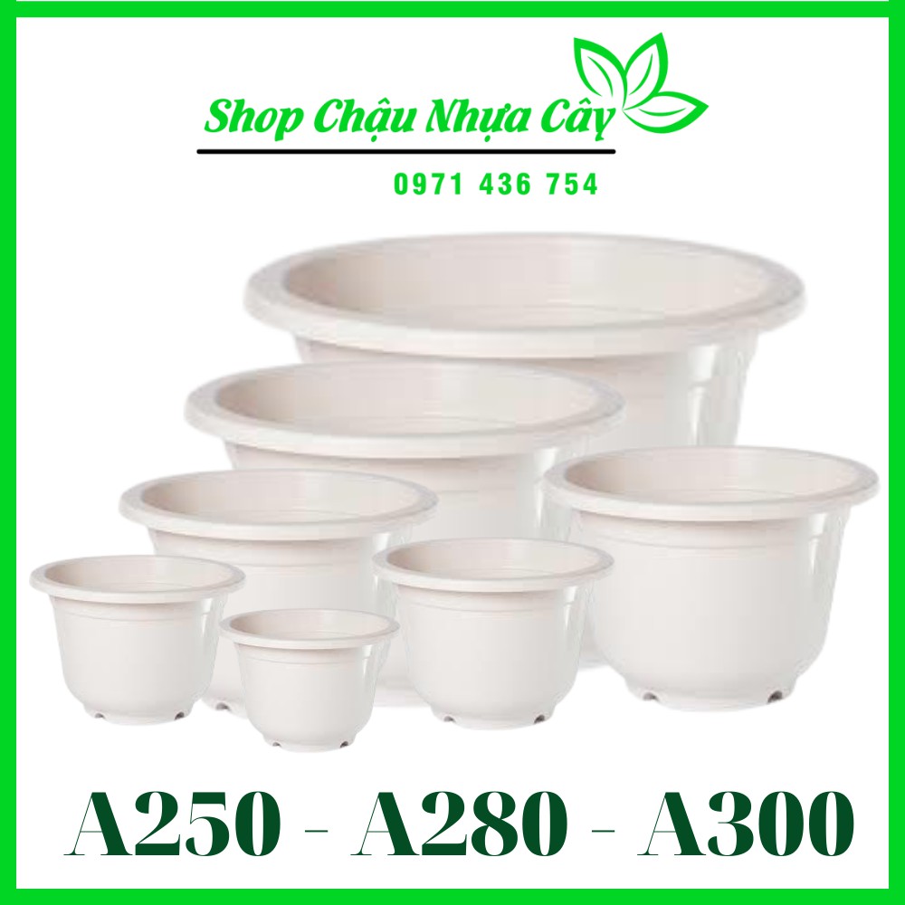 Chậu Nhựa Trắng Trơn, 4 Mùa. A250-A280-A300
