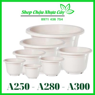Chậu nhựa trắng trơn, 4 mùa. a250-a280-a300