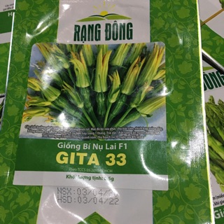 Hạt giống bông bí nụ