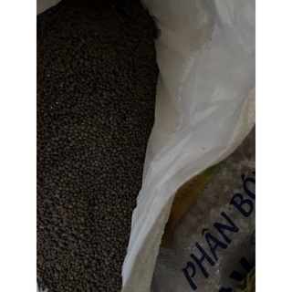 Phân bón DAP (D.A.P) 18-46-0 gói (100g-250g-500g-1kg)