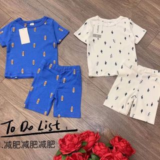 Combo Sỉ bộ Borip