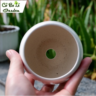 chậu sứ mini hình hạt dẻ