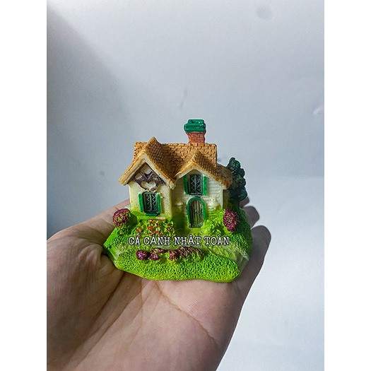 CẢNH NHÀ TRANG TRÍ HỒ CÁ NON BỘ 6X4X5CM