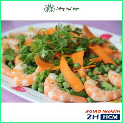 Hạt giống Đậu Hà Lan Lấy Hạt Trồng Quang Năm, Trái Sai - Gói 50 gram