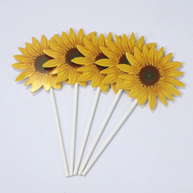 Set que hướng dương