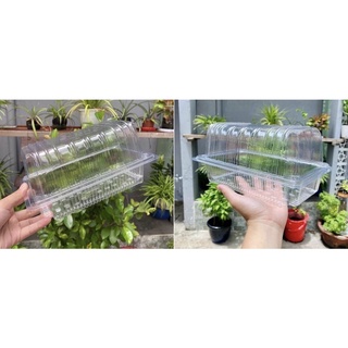 🍏🍐🍈 HỘP NHỰA ĐỰNG BÁNH H143 ( 105.000/50 cai)