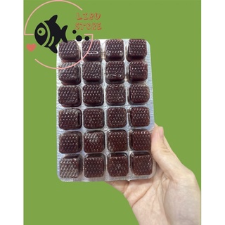 Trùng huyết đông lạnh 24 viên thức ăn cá cảnh loại tốt vỉ đỏ 100 gram