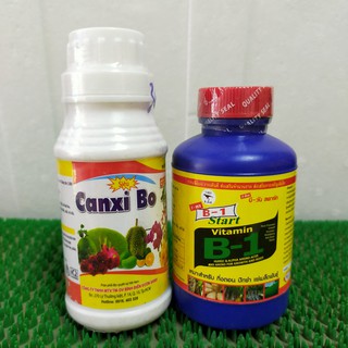 combo phân bón dưỡng thân -kích rễ : Canxi bo & B1 Thái