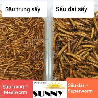 Sâu trung rang cho hamster, sóc, nhím
