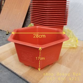 Chậu trồng cây lục giác FAC-280