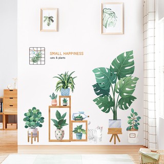 decal dán tường trang trí chậu cây B