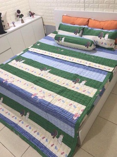 Set 5 món