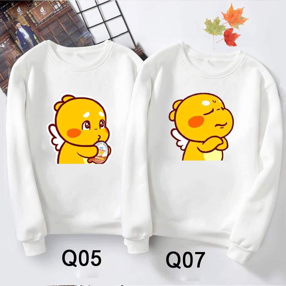 Áo Đôi thu đông dài tay giá rẻ - NEW!! - NỈ