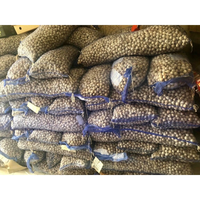 TỎI CÔ ĐƠN ẤN ĐỘ