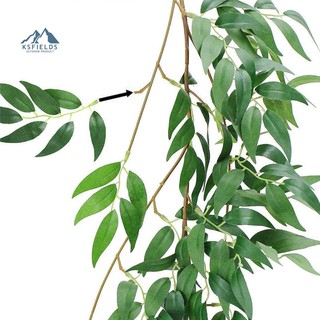 Dây Leo Cây Bạch Đàn Giả Trang Trí