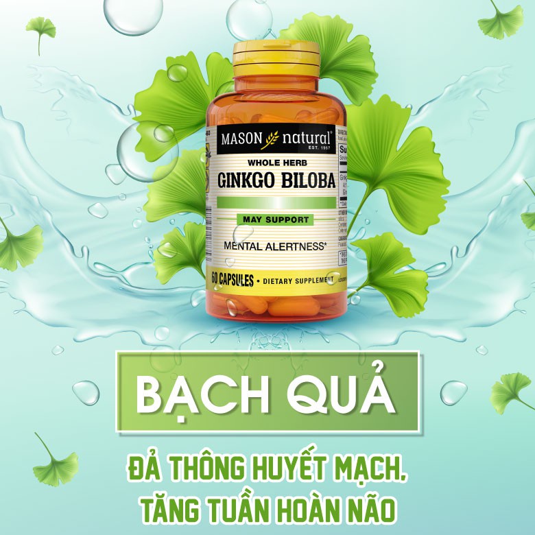 Bổ Não Ginko Biloba Mason Natural Lọ 60 viên - Viên uống hoạt huyết, Giảm Đau Đầu, Thông Mạch Ginkgo