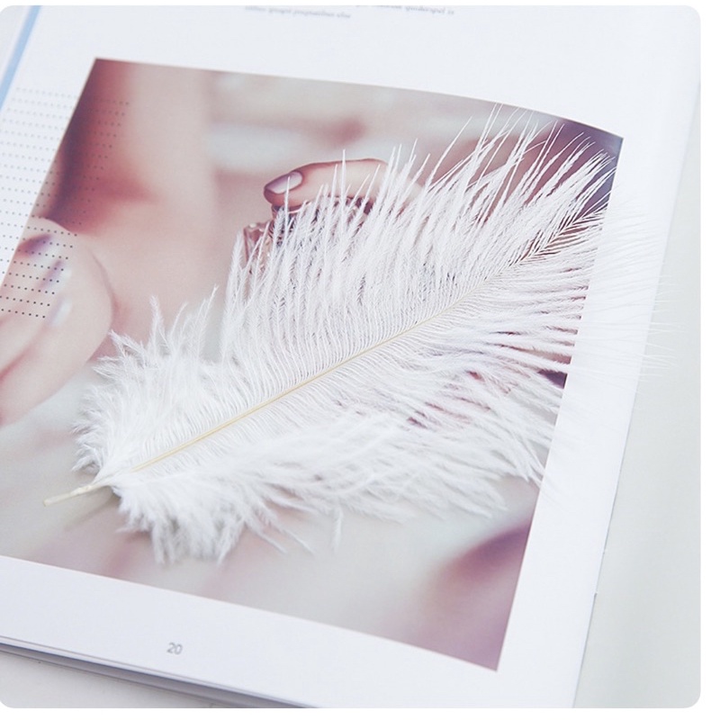 Lông vũ chụp ảnh(sét 2 cái)