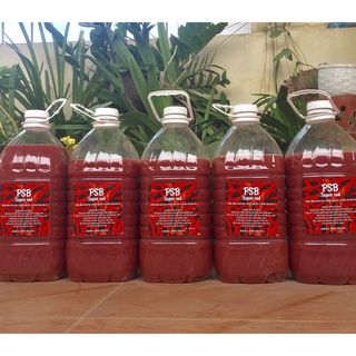 (Cá cảnh- cá Koi) (1000ml)men psb