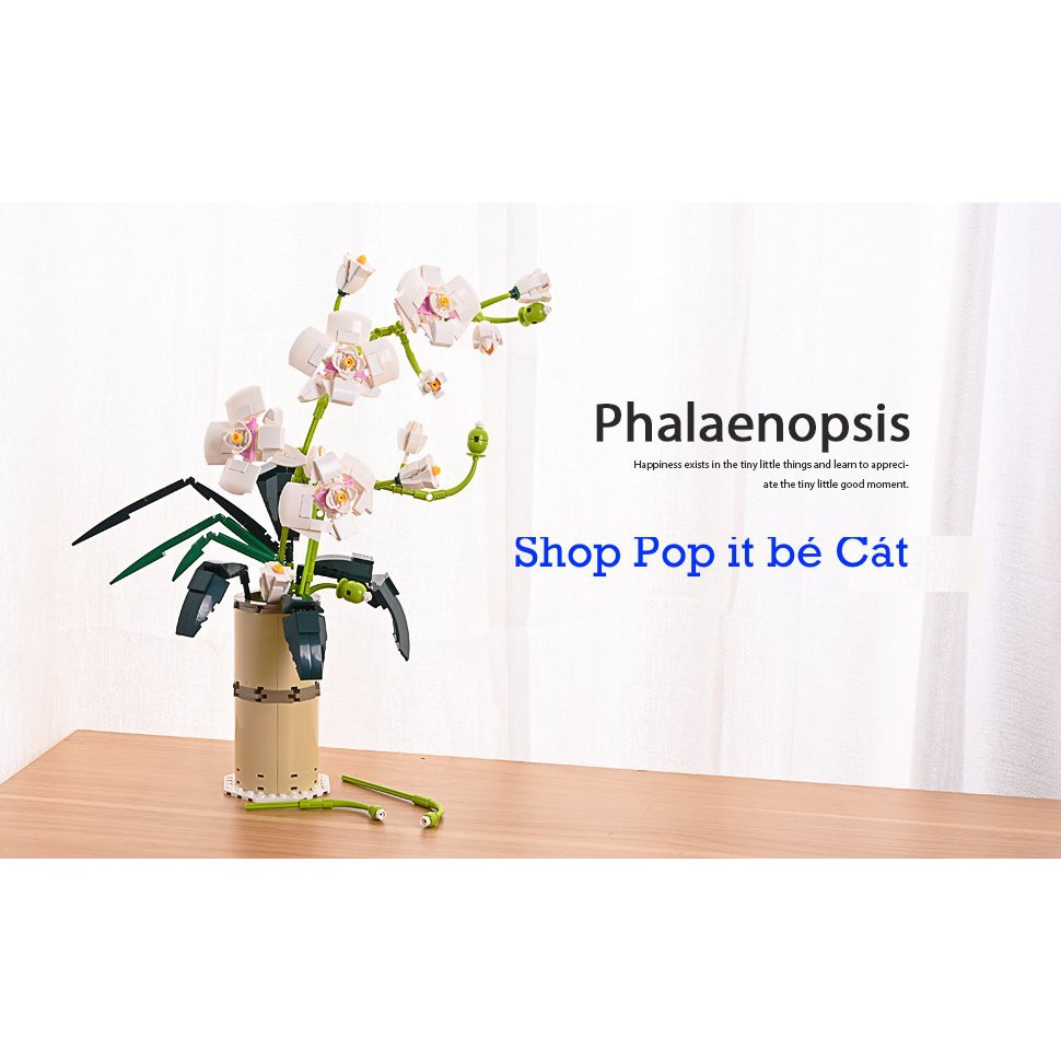 Đồ Chơi Lắp Ráp Mô Hình Hoa Phong Lan Phalaenopsis BOX