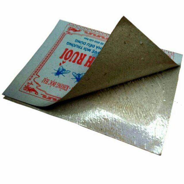 10 Miếng dán dính ruồi, côn trùng