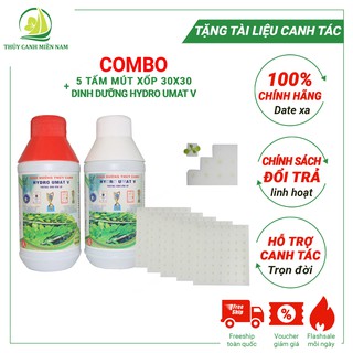 [TẶNG HẠT GIỐNG] Combo 1 cặp dinh dưỡng rau ăn lá thuỷ canh và 5 tấm mút xốp 30x30 (280 đv ươm) tặng 1 gói hạt giống