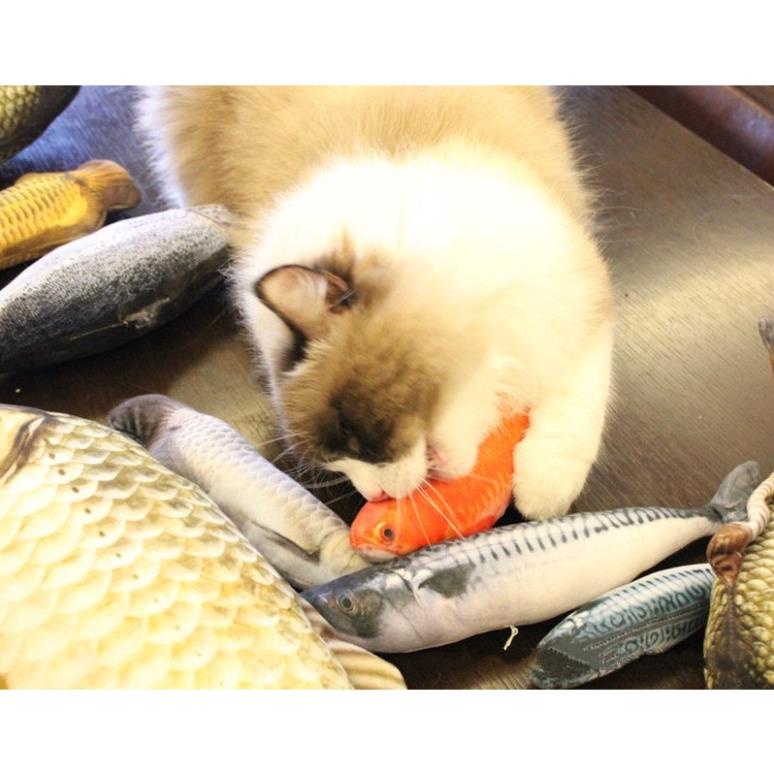 Đồ Chơi Cá Bông Nhồi Catnip Cho Boss Mèo