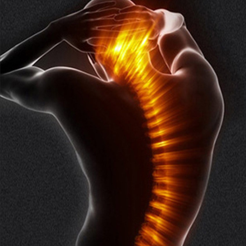 Gối Tựa Đầu / Tựa Lưng Gắn Ghế Ngồi Xe Hơi Ford