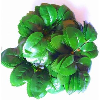 Lá hoa hồng 1kg