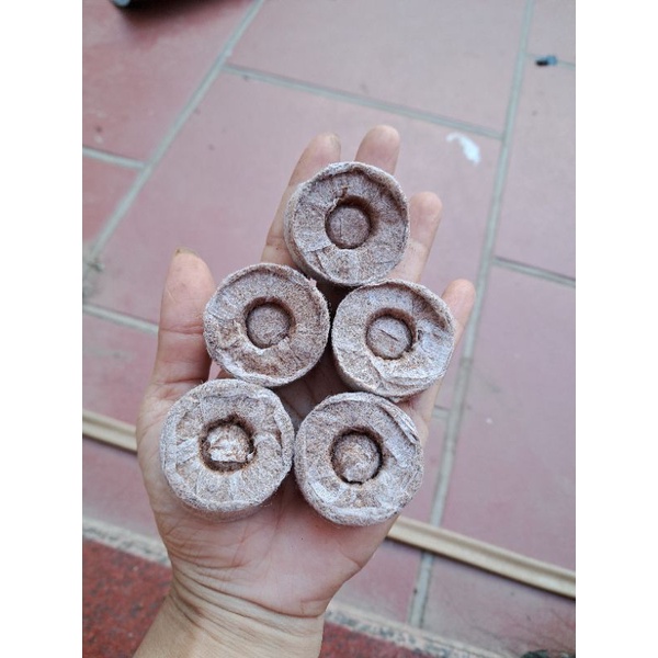 Combo 10 viên nén xơ dừa ươm hạt giống