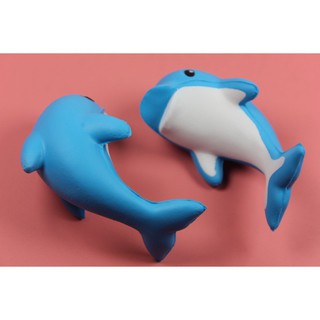 SquiShy cá heo