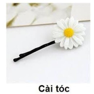 Hoa cúc kẹp tóc ( set 2c)