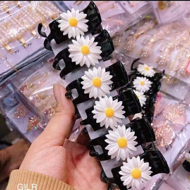 1 KẸP HOA CÚC ĐEN 3 RĂNG