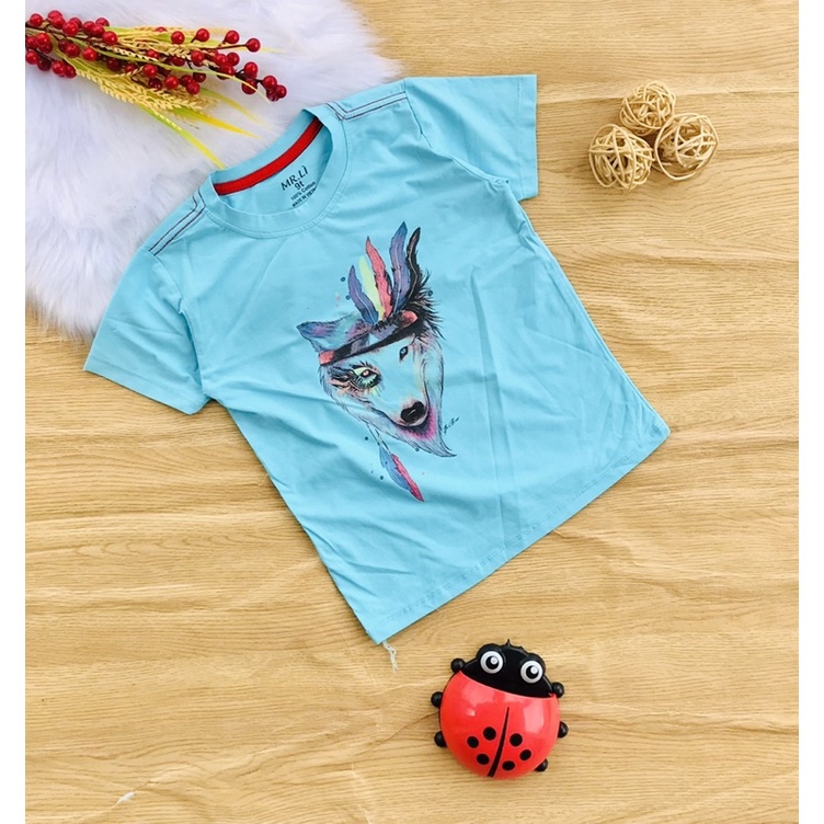 🚗 Áo cotton hàng shop bé trai từ 25-40kg