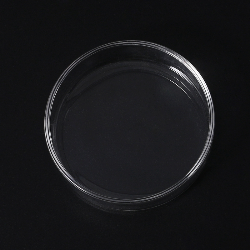 Dĩa hình tròn bằng thủy tinh cho cá nhỏ và tôm ăn trong hồ