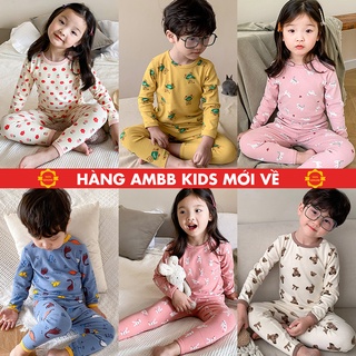 Bộ đồ dài tay mặc nhà cho bé trai, bé gái từ 8-30kg Cotton Bền Dày Mịn co giãn đa chiều hàng Ambb Kids mã U002-3