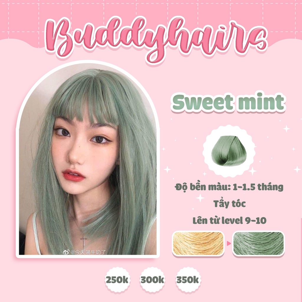 Thuốc nhuộm tóc Sweet Mint / Xanh Mint / Xanh rêu khói Buddyhairs tặng kèm găng tay mũ trùm trợ nhuộm tẩy tóc 50K