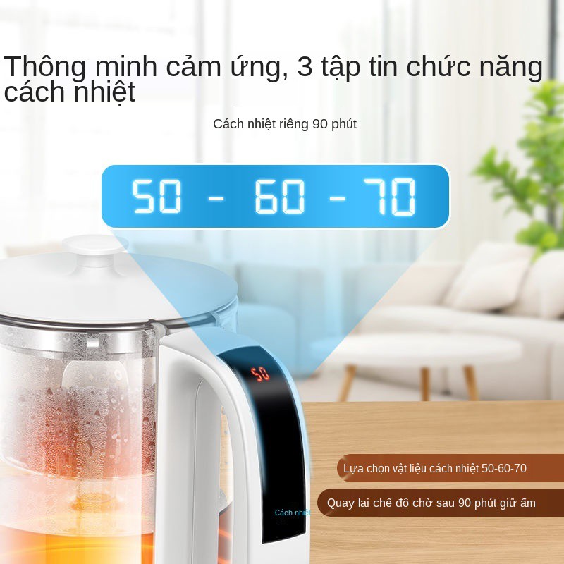 Ấm sắc thuốc Trường Giang, máy pha trà gia đình đa năng, điện loại nhỏ, thủy tinh dày tự động