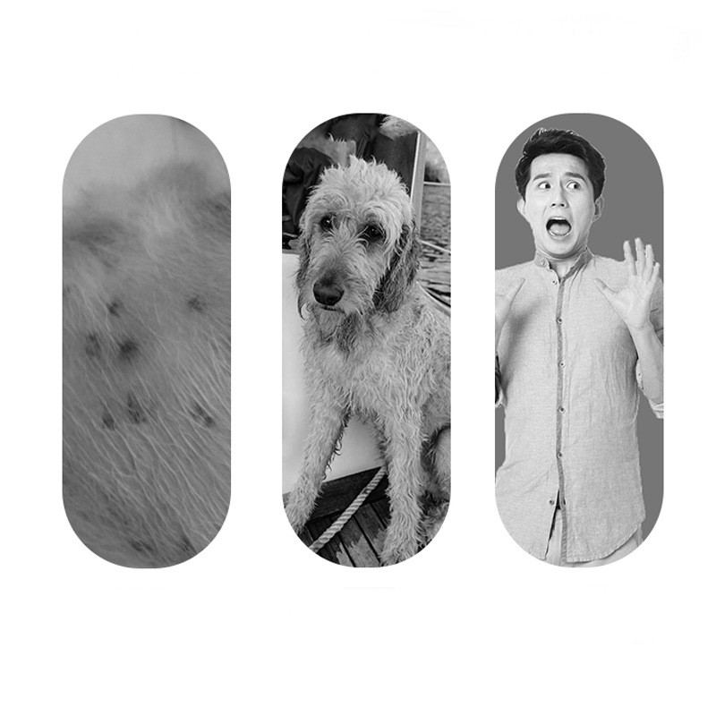 Thuốc xịt ve rận bọ chét chó mèo CHZK PETMITECLEAN hương lavender-100ml