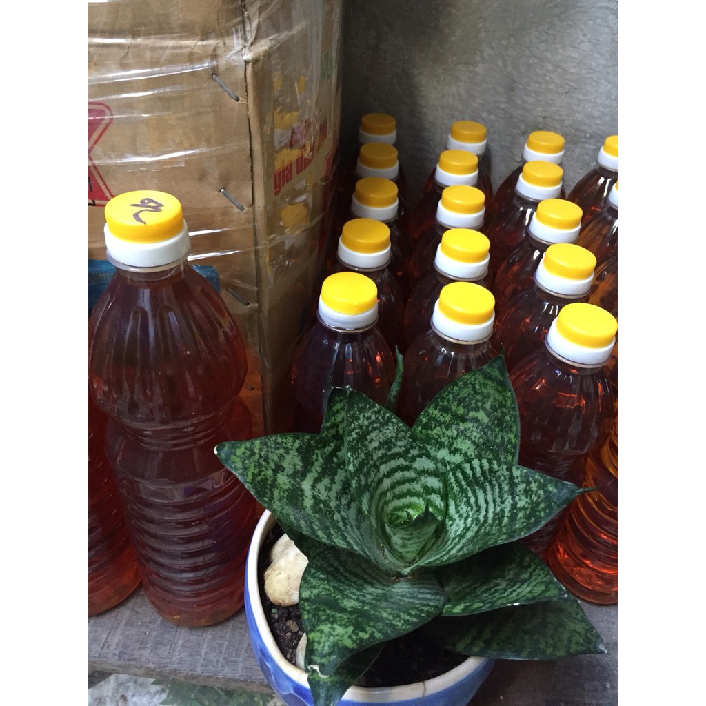 Nước mắm nhỉ Tam Quan, Bình Định