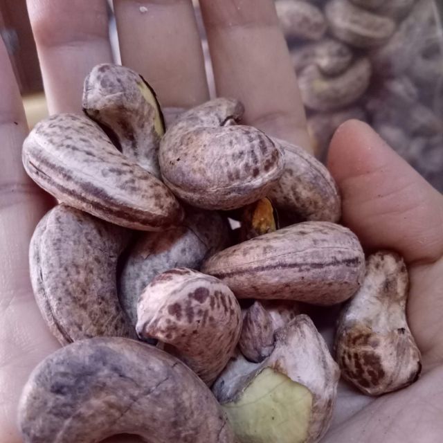 500gr HẠT ĐIỀU A CỒ BAO ĂN TỪNG HẠT