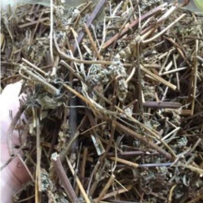 1kg cây kinh giới khô phơi nắng xanh thơm đẹp.